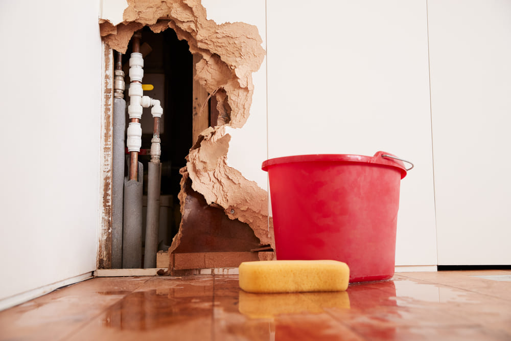 Water Damage Health Risks. Jacksonville, OR Flooded House Repair