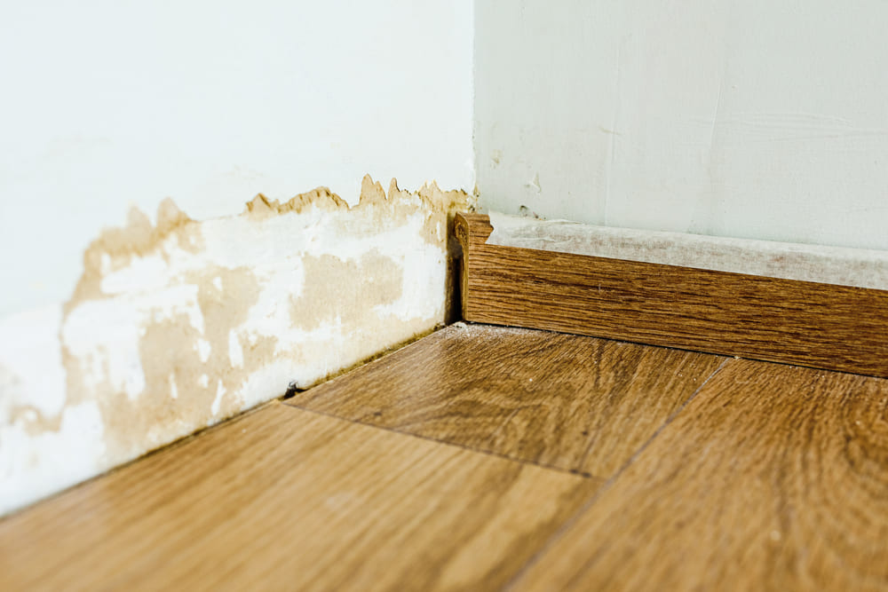 Jacksonville Water Damage Repair. How To Stop Moldy Smells