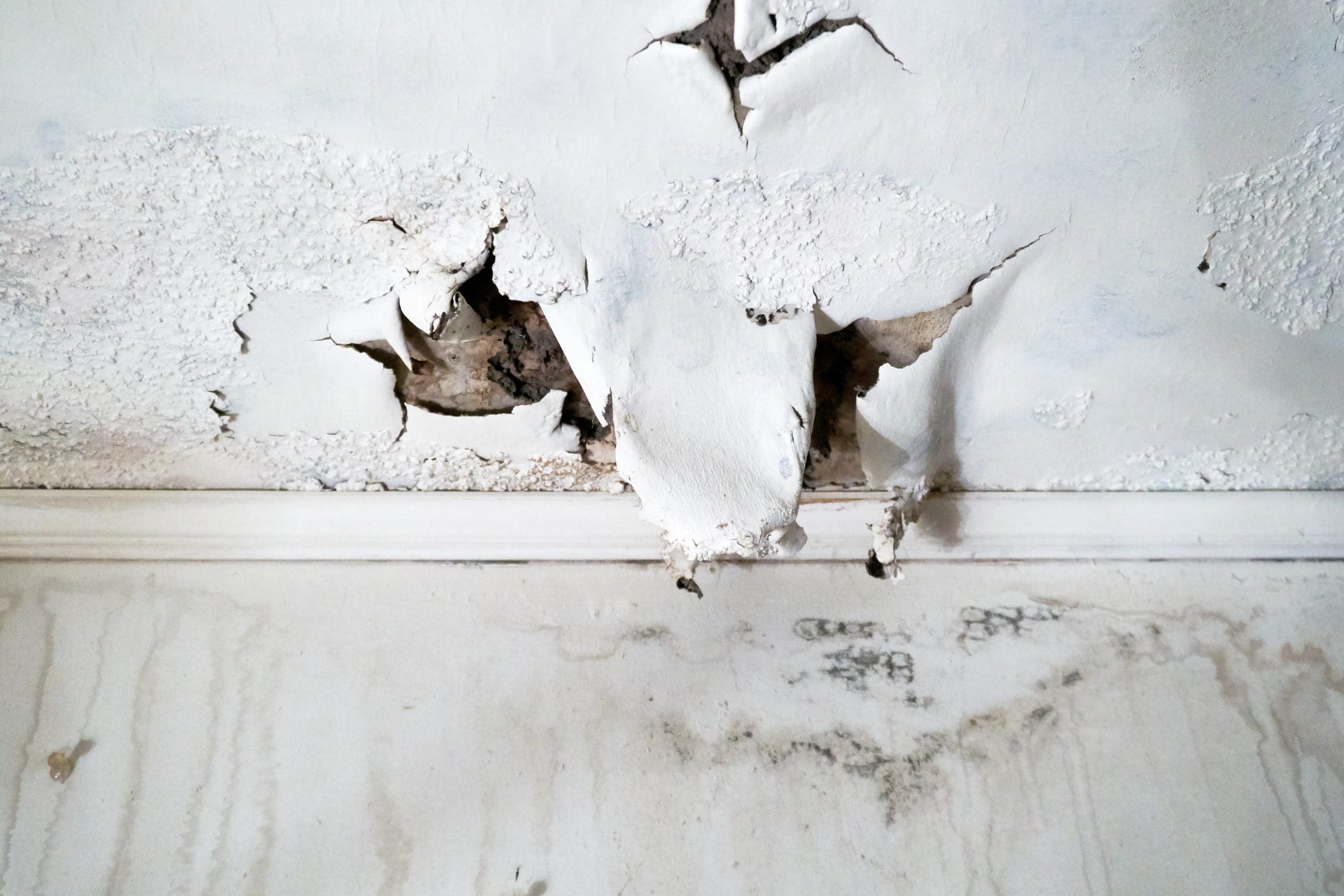 Medford Flooded House Cleanup. Can You Spot Water Damage?